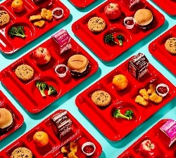 Image of a red school lunch tray